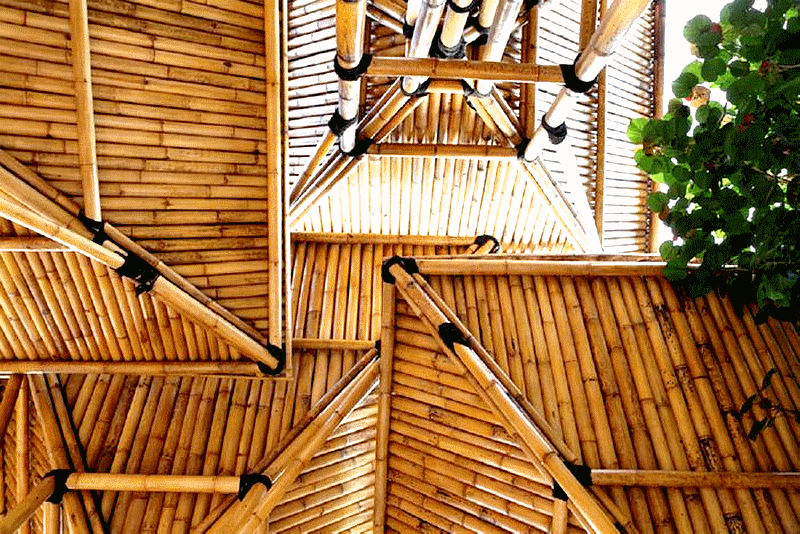 africa_afrique_forêt_forest_deforestation_sustainable__wood_bois_culture_agriculture_asia_asie_china_chine_india_inde_vietnam_laos_bali_development_architecture_house_moso_bambou_bamboo_bambu_bambusa_développement_durable_cop_21